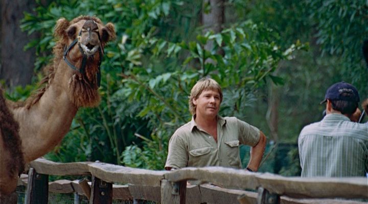 Steve Irwin Grappling Story